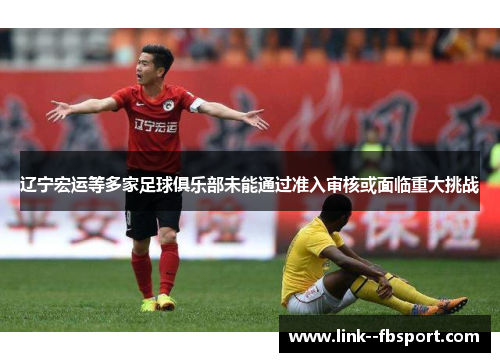 辽宁宏运等多家足球俱乐部未能通过准入审核或面临重大挑战